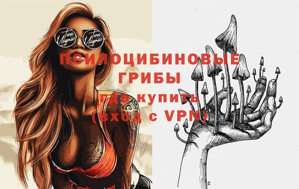 гидра Майский