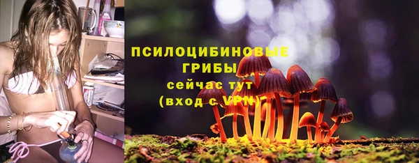 гидра Медногорск