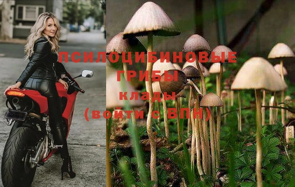 гидра Медногорск